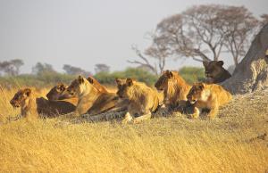 Séjours Afrique Du Sud